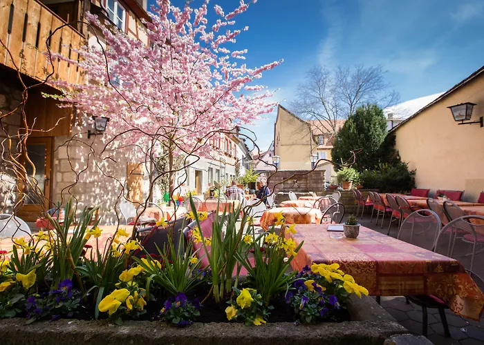 Hotel-gasthof Goldener Greifen Гостевой дом
