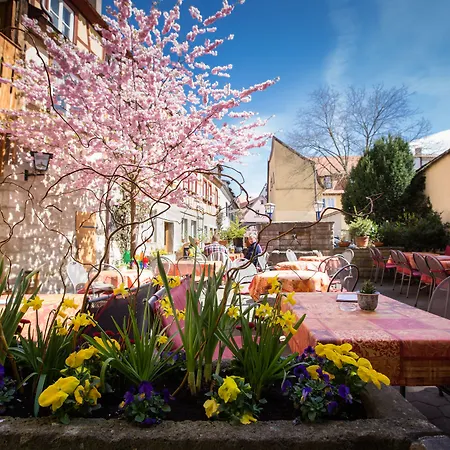 Hotel-gasthof Goldener Greifen Vendégház